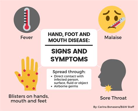 How Hand, Foot, and Mouth Disease Spreads .